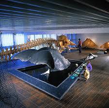 Musée d'histoire naturelle de Göteborg